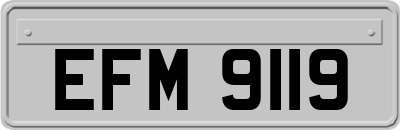EFM9119
