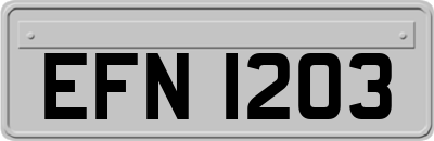 EFN1203