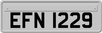 EFN1229