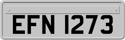 EFN1273
