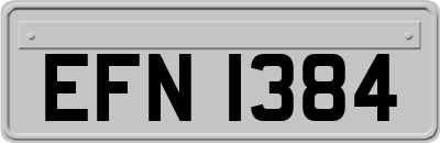 EFN1384