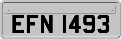 EFN1493