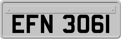 EFN3061