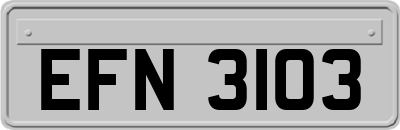 EFN3103