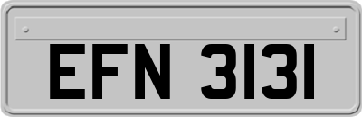 EFN3131