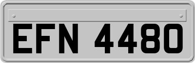 EFN4480