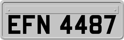 EFN4487
