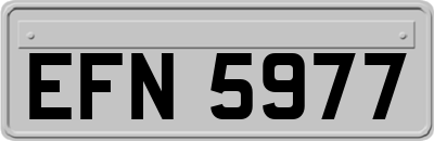 EFN5977
