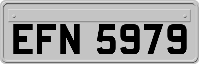 EFN5979