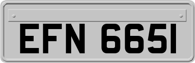 EFN6651