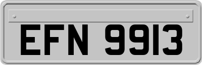 EFN9913
