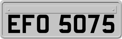 EFO5075