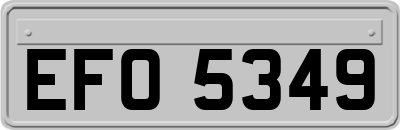 EFO5349