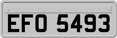 EFO5493