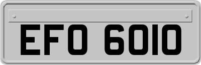 EFO6010