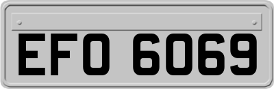 EFO6069