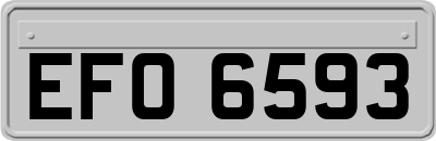 EFO6593