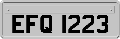 EFQ1223