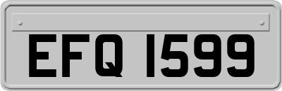 EFQ1599