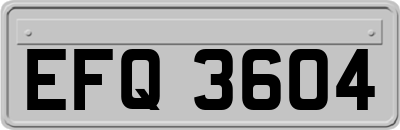 EFQ3604