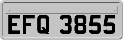 EFQ3855