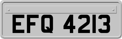 EFQ4213