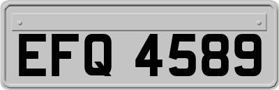 EFQ4589