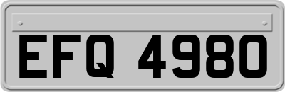 EFQ4980
