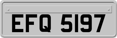 EFQ5197