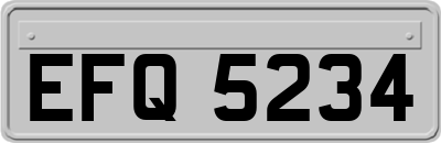 EFQ5234