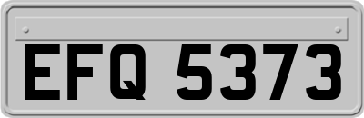 EFQ5373
