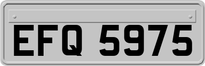 EFQ5975