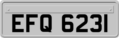 EFQ6231