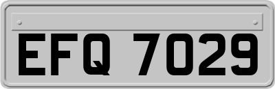 EFQ7029