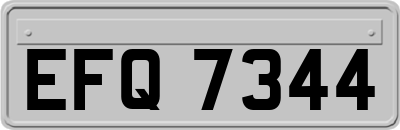 EFQ7344