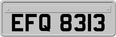 EFQ8313