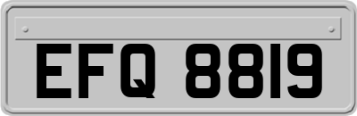 EFQ8819