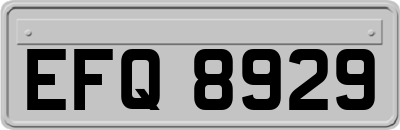 EFQ8929