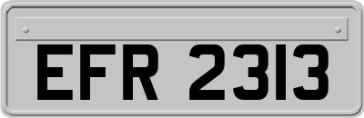 EFR2313