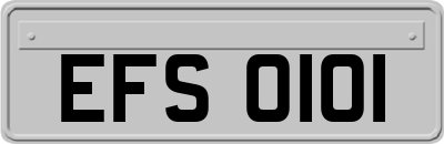 EFS0101