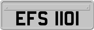 EFS1101