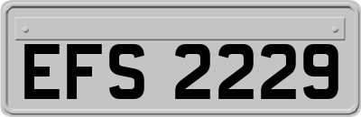 EFS2229