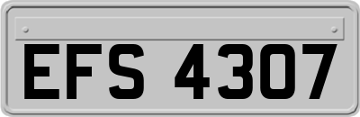 EFS4307