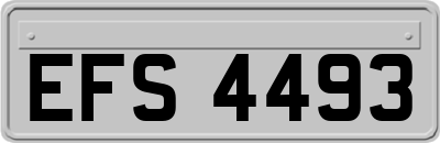 EFS4493