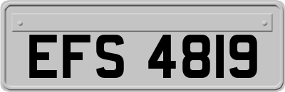 EFS4819