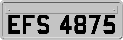 EFS4875