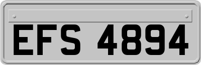 EFS4894