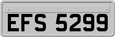 EFS5299