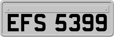EFS5399