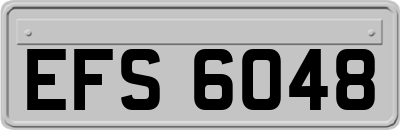 EFS6048